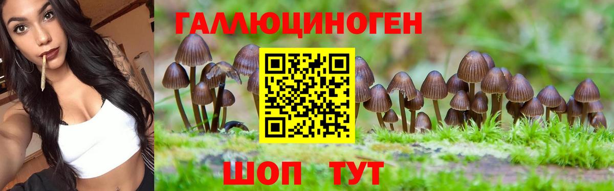 Галлюциногенные грибы Magic Shrooms Семёнов